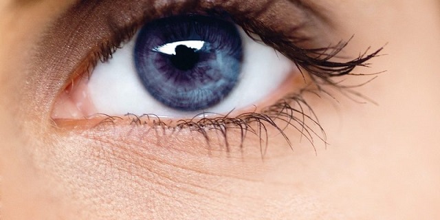 Chưa có phản hồi về tác dụng phụ khi dùng bổ mắt Blueberry Orihiro