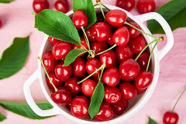 Cherry là loại quả chứa rất nhiều dưỡng chất có lợi cho toàn cơ thể