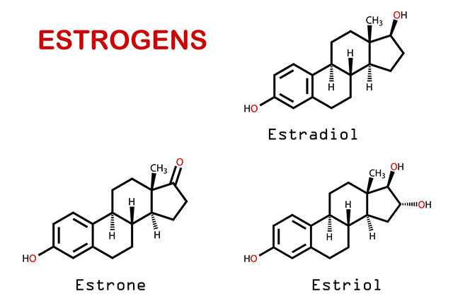 Hoocmon Estrogen có tác động ảnh hưởng đến cả sức khoẻ và nhan sắc của phái nữ