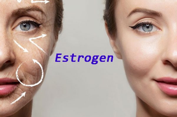 [TỔNG HỢP] Hoocmon Estrogen là gì? Vai trò của Estrogen với sức khoẻ và sắc đẹp