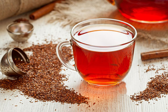 Trà Rooibos đỏ - Hồng trà Nam Phi nổi tiếng