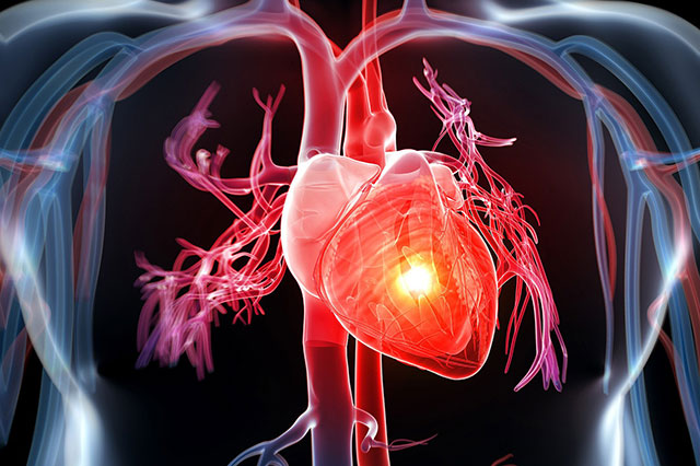 Trà Rooibos mang lại nhiều lợi ích cho sức khoẻ tim mạch