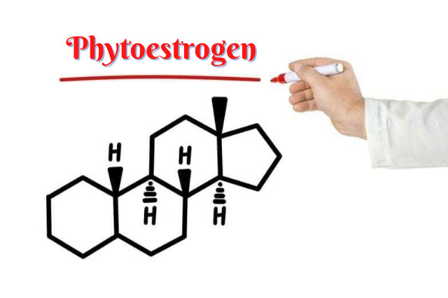 Phytoestrogen có cấu trúc và công dụng tương tự như Estrogen