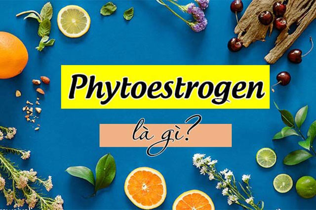 [Tổng hợp] Phytoestrgen là gì? Có tốt cho sức khoẻ không?