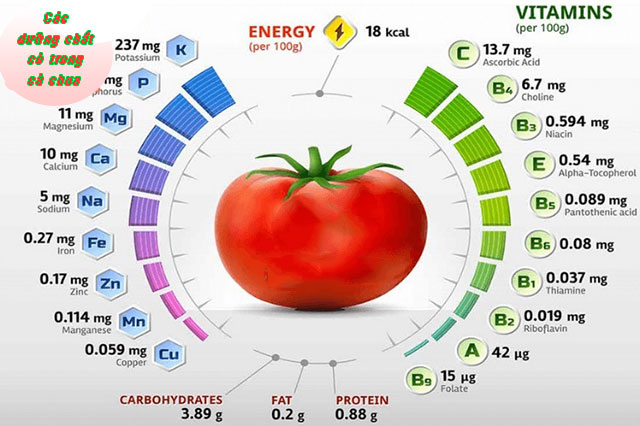 Nước ép cà chua bổ sung nhiều dưỡng chất cần thiết cho cơ thể