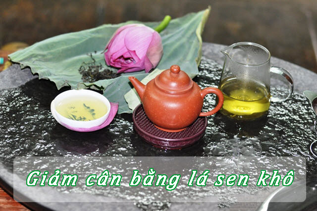 Giảm cân bằng lá sen khô có thật sự hiệu quả?