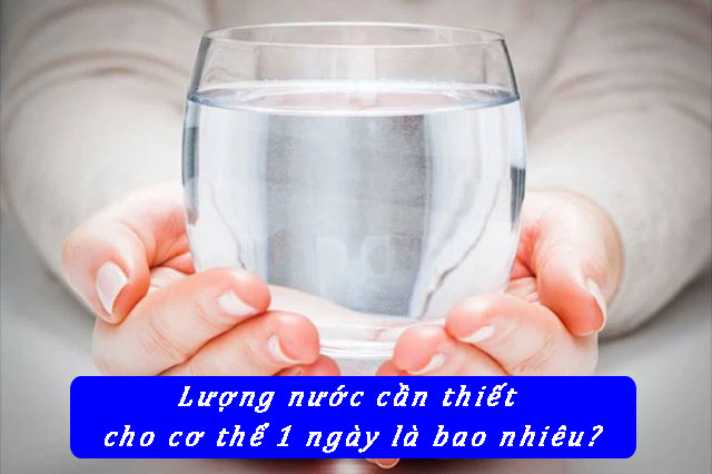  Bạn có biết lượng nước cần cho cơ thể 1 ngày là bao nhiêu?