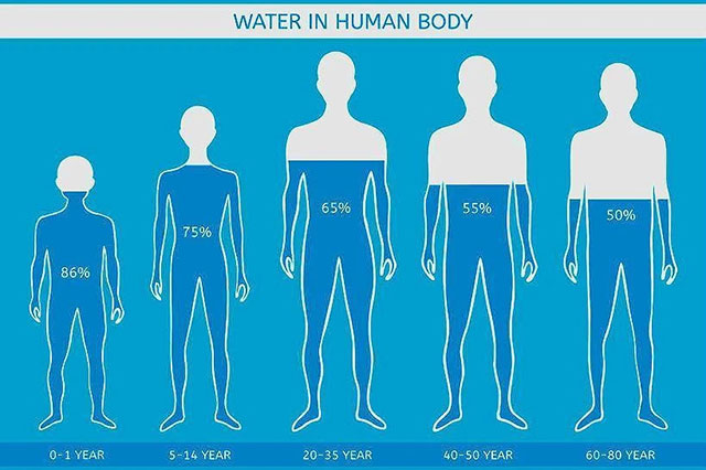 Lượng nước cần thiết cho cơ thể có sự thay đổi theo độ tuổi