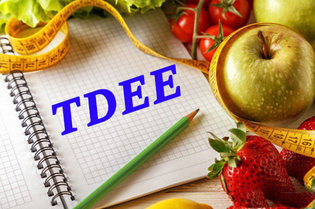 Cách tính TDEE – chỉ số calo tiêu thụ chính xác nhất