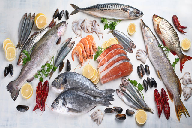 Cá biển và các loại hải sản cung cấp nguồn dưỡng chất dồi dào