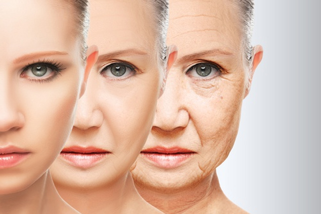 Bổ sung Collagen tự nhiên giúp duy trì sức khỏe làn da và cơ thể
