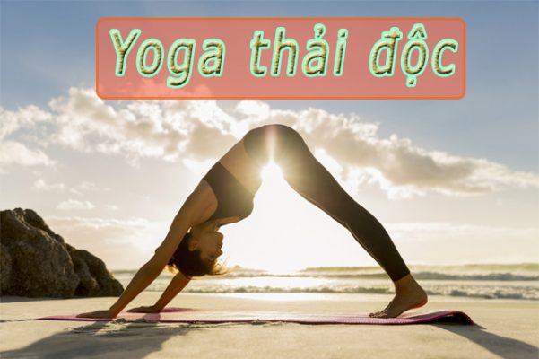 Top 8 bài tập Yoga thải độc HOT nhất hiện nay