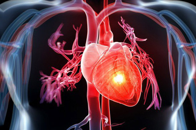 Bổ sung thực phẩm giàu Vitamin E sẽ làm giảm nguy cơ tử vong do các bệnh về tim mạch