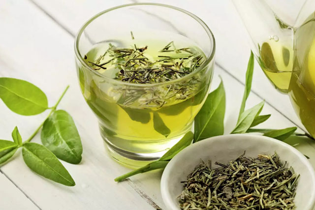 Uống trà gì để giảm cân thì không thể bỏ qua trà xanh với nhiều công dụng tuyệt vời