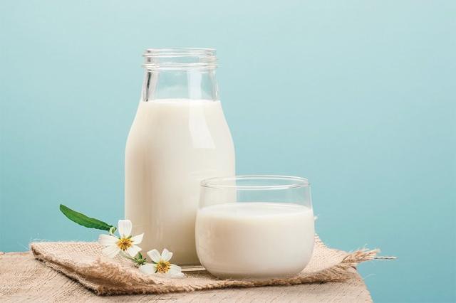 Sữa tươi có tác dụng làm trắng da hay không?