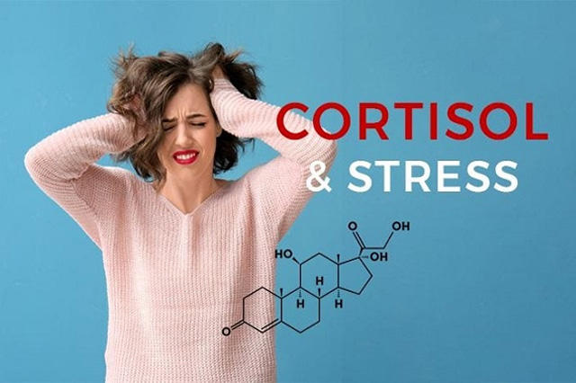 Tác dụng phụ của Hormone Cortisol là khiến cho bạn bị tăng cân