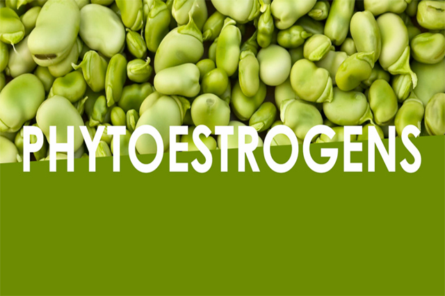 Ăn thực phẩm có chứa Phytoestrogen