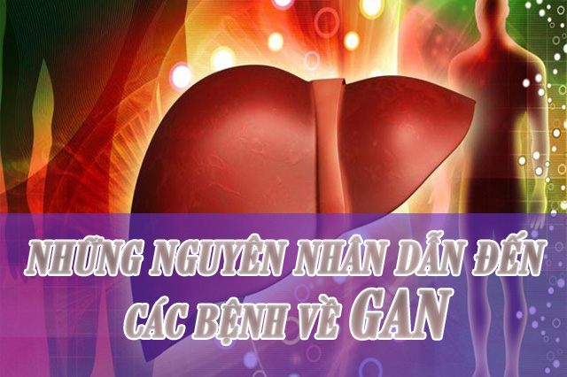 Những nguyên nhân dẫn đến các bệnh về gan mà bạn nên biết