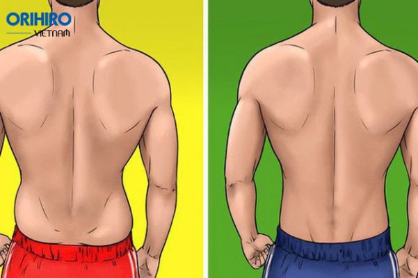Tuyệt chiêu giảm mỡ bụng bên hông cho nam hiệu quả