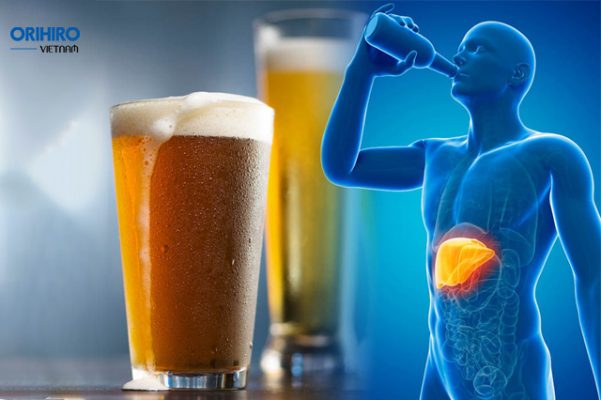 Uống rượu bia ảnh hưởng đến gan như thế nào?