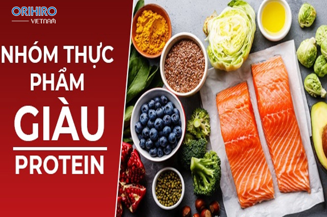 Các thực phẩm giàu Protein – Thực phẩm tái tạo tế bào da nhanh nhất