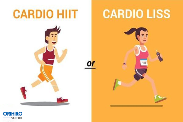 Các bài tập Cardio giảm mỡ bụng và toàn thân tại được chia làm 2 loại