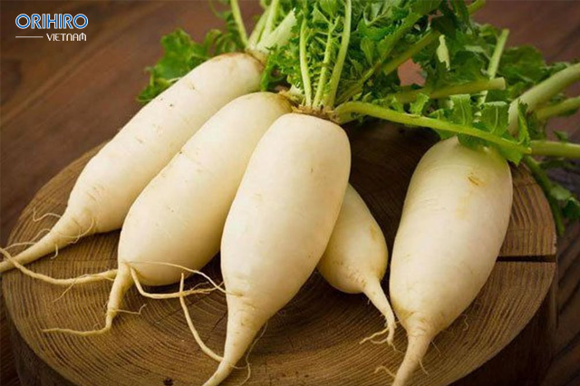 Trong đông y, củ cải trắng còn được mệnh danh là sâm trắng