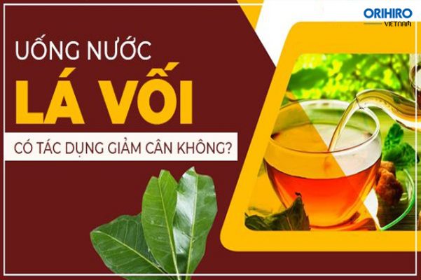 Tác dụng của lá vối là gì? Uống nước vối giảm cân có hiệu quả không?