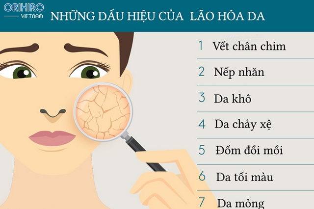 Những dấu hiệu của lão hóa da