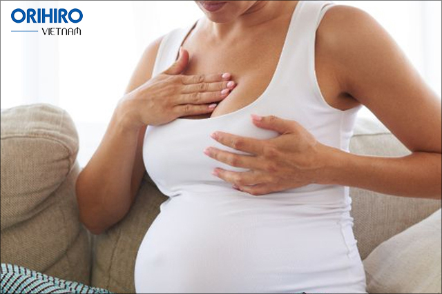 Tăng số lượng tuyến sữa do mang thai là nguyên nhân dẫn tới ngực chảy xệ sau sinh