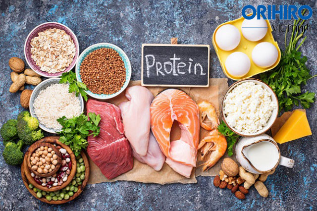 Chế độ ăn tăng cơ giảm mỡ không thể thiếu Protein