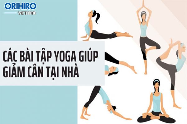 Trải nghiệm top 3 bài tập Yoga giảm cân hot hit hiện nay