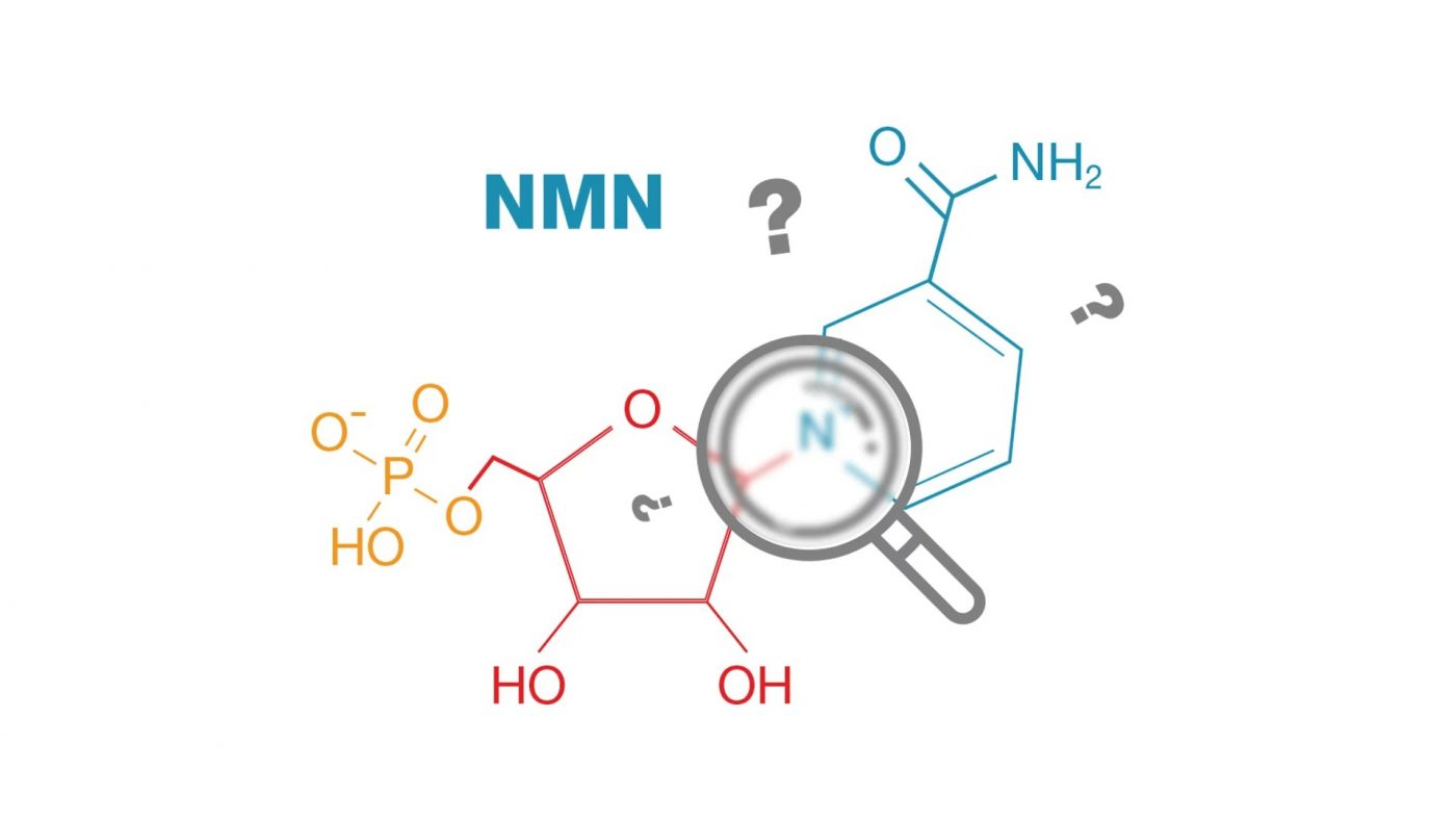 cơ chế chống lão hóa của NMN