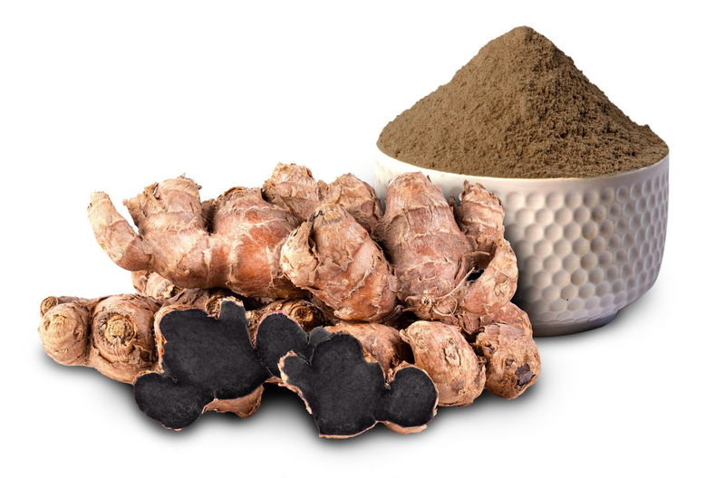 Gừng đen - Chìa khóa hỗ trợ Cơ chế giảm Acid Uric