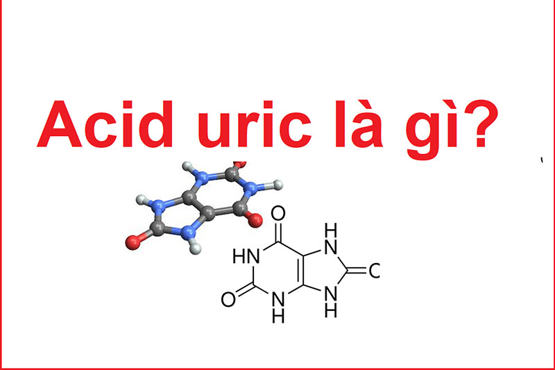 Acid Uric là gì?