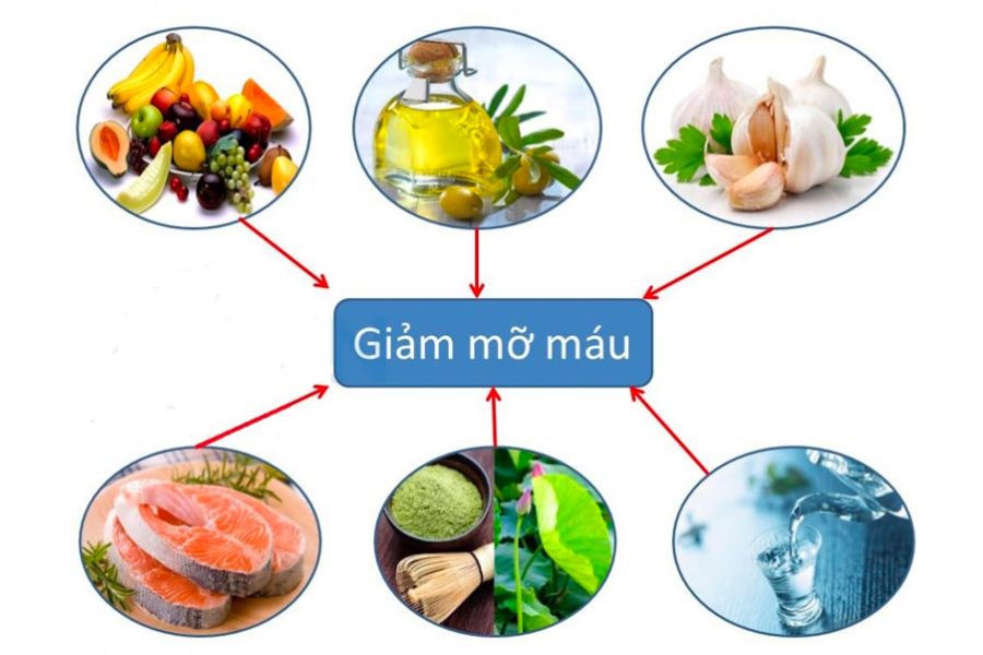 Ăn uống khoa học là bước đầu tiên cần làm khi muốn biết làm gì để giảm mỡ máu.